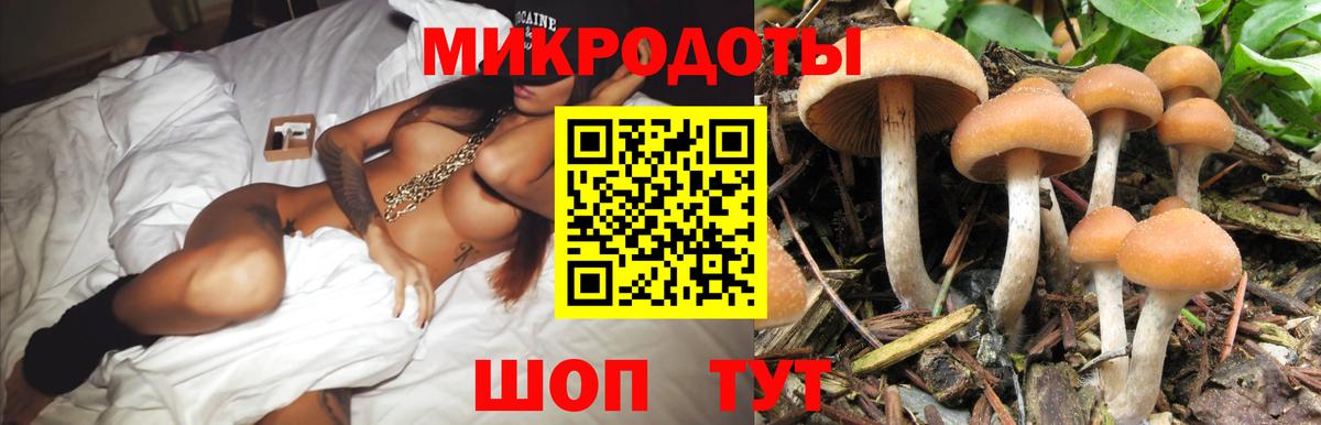 Галлюциногенные грибы MAGIC MUSHROOMS Севастополь