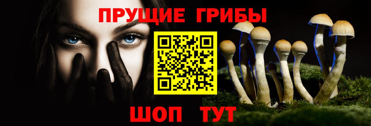Севастополь  Галлюциногенные грибы Cubensis  Галлюциногенные грибы мухоморы  Вход с VPN 